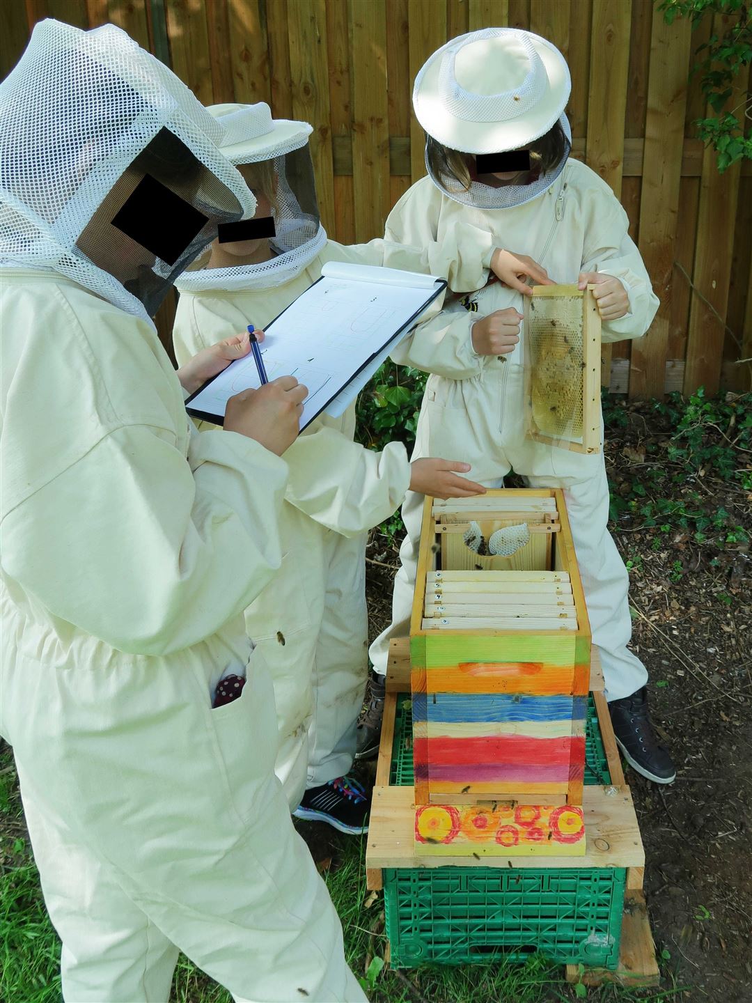 Kinder am Bienenkasten